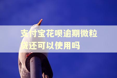 支付宝花呗逾期微粒贷还可以使用吗