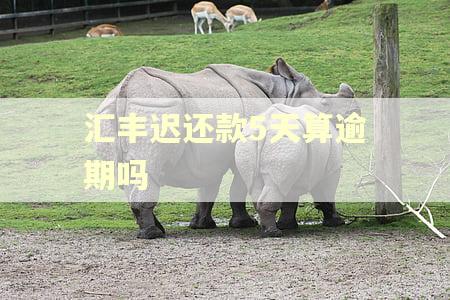 汇丰迟还款5天算逾期吗