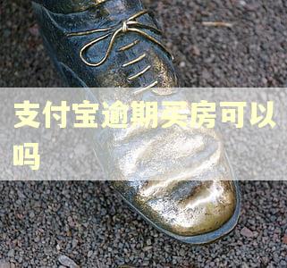 支付宝逾期买房可以吗