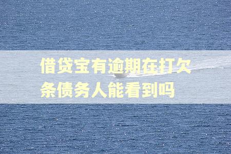 借贷宝有逾期在打欠条债务人能看到吗
