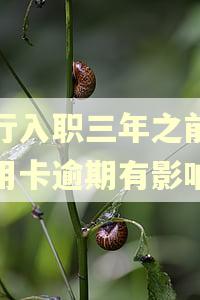 银行入职三年之前的信用卡逾期有影响吗