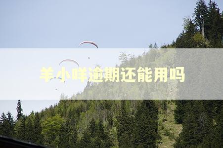 羊小咩逾期还能用吗