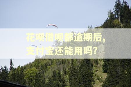 花呗借呗都逾期后,支付宝还能用吗?