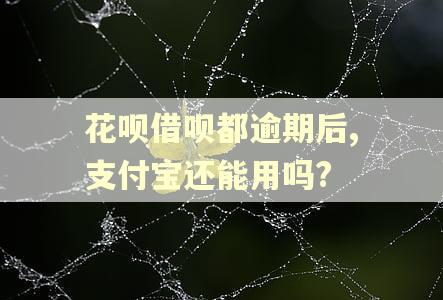 花呗借呗都逾期后,支付宝还能用吗?