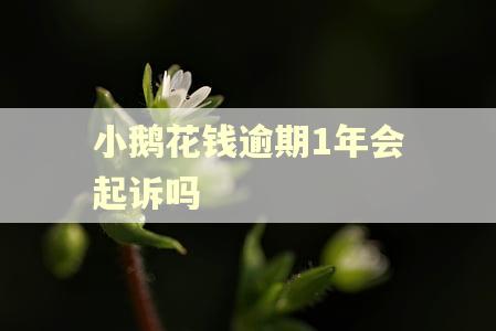 小鹅花钱逾期1年会起诉吗