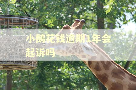 小鹅花钱逾期1年会起诉吗