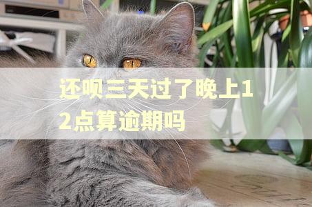 还呗三天过了晚上12点算逾期吗