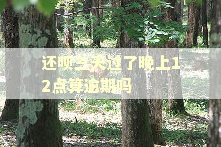 还呗三天过了晚上12点算逾期吗