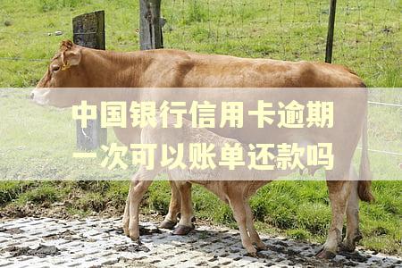 中国银行信用卡逾期一次可以账单还款吗