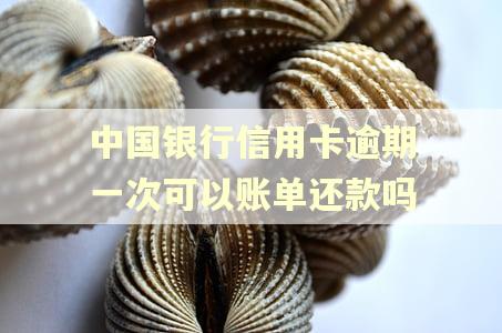 中国银行信用卡逾期一次可以账单还款吗