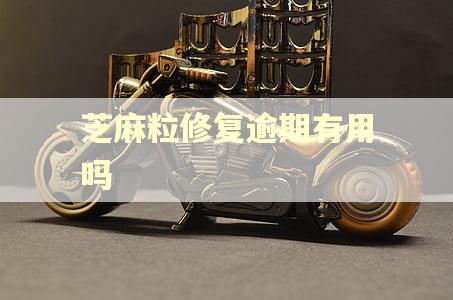 芝麻粒修复逾期有用吗