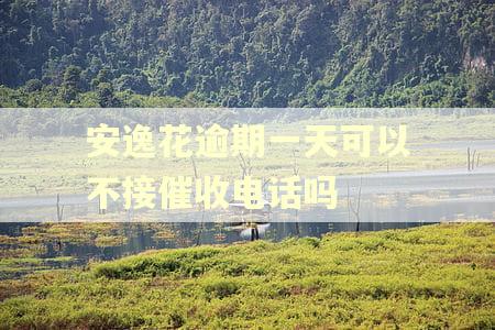 安逸花逾期一天可以不接催收电话吗