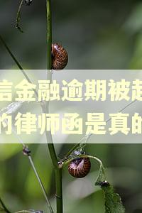 捷信金融逾期被起诉发的律师函是真的吗
