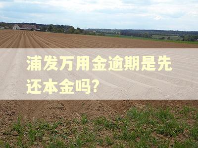 浦发万用金逾期是先还本金吗?