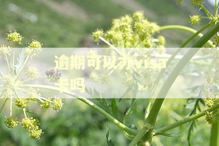 逾期可以办visa卡吗