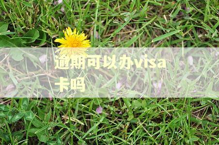 逾期可以办visa卡吗