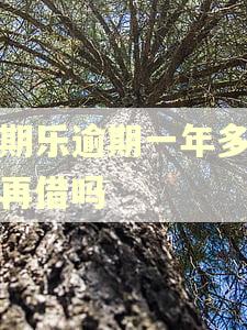 分期乐逾期一年多还能再借吗
