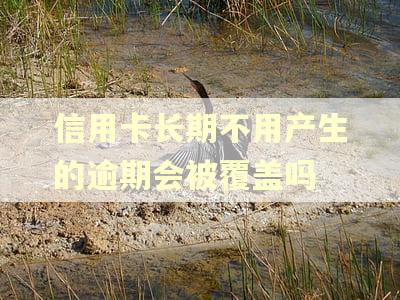 信用卡长期不用产生的逾期会被覆盖吗