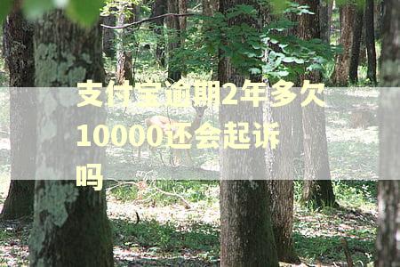 支付宝逾期2年多欠10000还会起诉吗