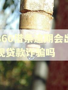 360借条逾期会出现贷款诈骗吗
