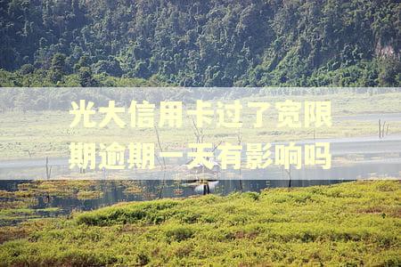 光大信用卡过了宽限期逾期一天有影响吗
