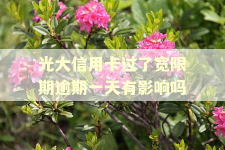 光大信用卡过了宽限期逾期一天有影响吗 光大信用卡过了宽限期逾期一天有影响吗