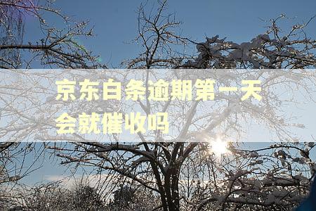 京东白条逾期第一天会就催收吗