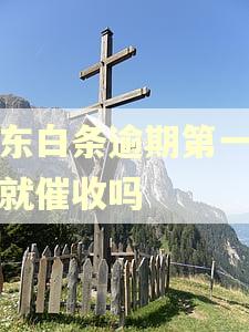 京东白条逾期第一天会就催收吗