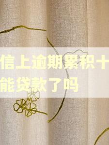 征信上逾期累积十次不能贷款了吗