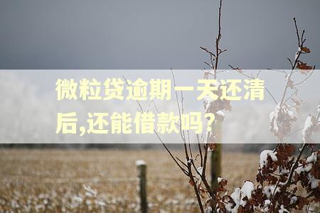 微粒贷逾期一天还清后,还能借款吗?