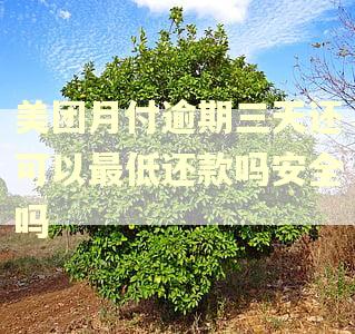 美团月付逾期三天还可以最低还款吗安全吗