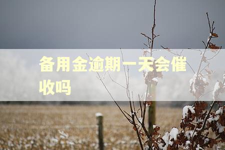 备用金逾期一天会催收吗