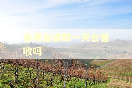 备用金逾期一天会催收吗 备用金逾期一天会催收吗
