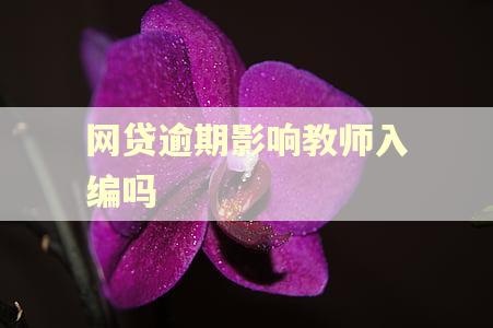 网贷逾期影响教师入编吗