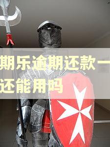分期乐逾期还款一年后还能用吗
