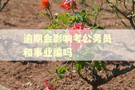 逾期会影响考公务员和事业编吗