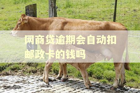 网商贷逾期会自动扣邮政卡的钱吗