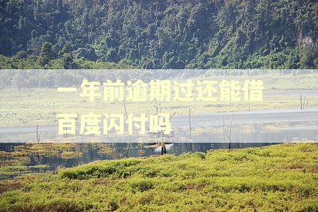 一年前逾期过还能借百度闪付吗