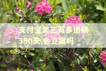 支付宝欠三万多逾期350天,会立案吗