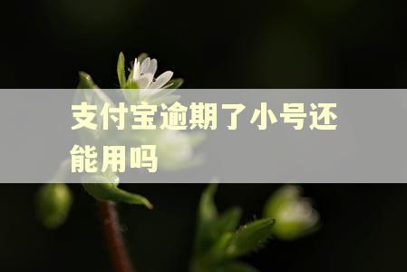 支付宝逾期了小号还能用吗