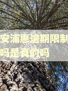 平安浦惠逾期限制出境吗是真的吗