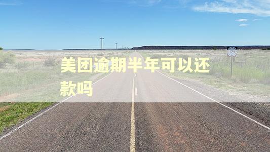 美团逾期半年可以还款吗