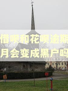 欠借呗和花呗逾期三个月会变成黑户吗