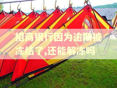 招商银行因为逾期被冻结了,还能解冻吗
