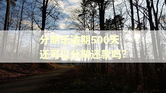 分期乐逾期500天还可以分期还款吗?