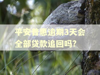 平安普惠逾期3天会全部贷款追回吗?