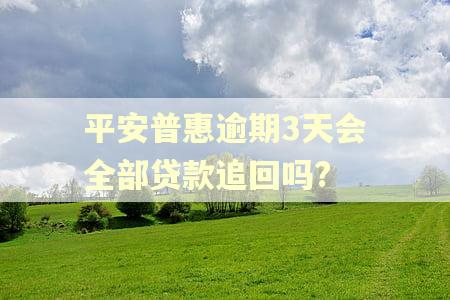 平安普惠逾期3天会全部贷款追回吗?