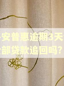 平安普惠逾期3天会全部贷款追回吗? 平安普惠逾期3天会全部贷款追回吗?