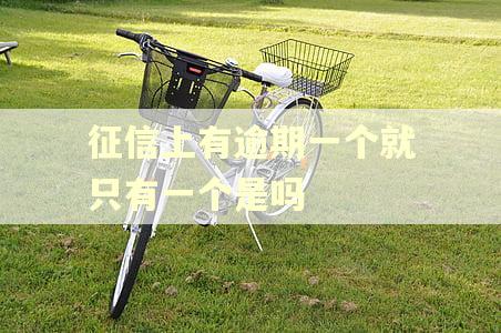 征信上有逾期一个就只有一个是吗