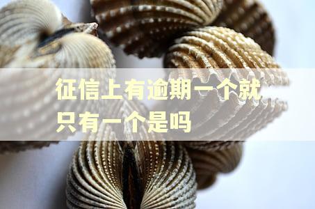 征信上有逾期一个就只有一个是吗